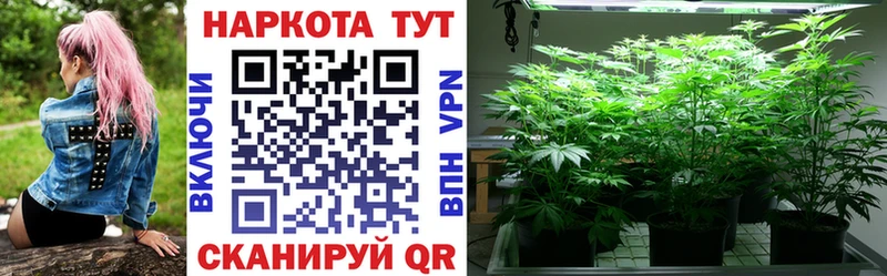 Виды наркотиков купить Аксай Конопля  Alpha-PVP  ГАШИШ  АМФ  ЭКСТАЗИ  КОКАИН 