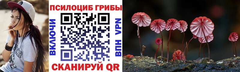 Псилоцибиновые грибы Magic Shrooms  Аксай 