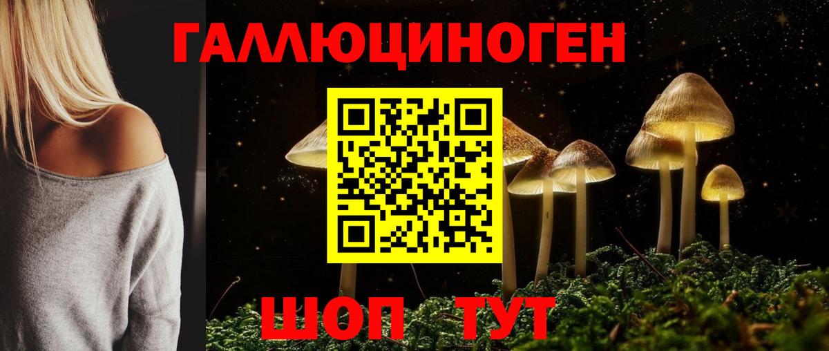 Аксай  Галлюциногенные грибы мухоморы  купить наркотик  Вход с VPN  Псилоцибиновые грибы мицелий 