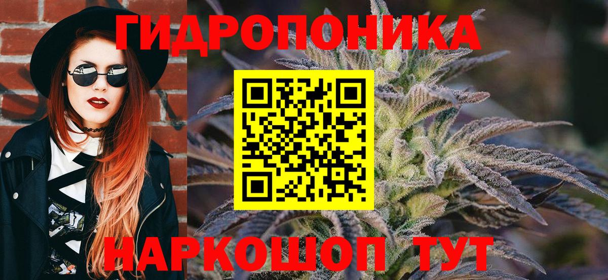 Марихуана сатива Аксай